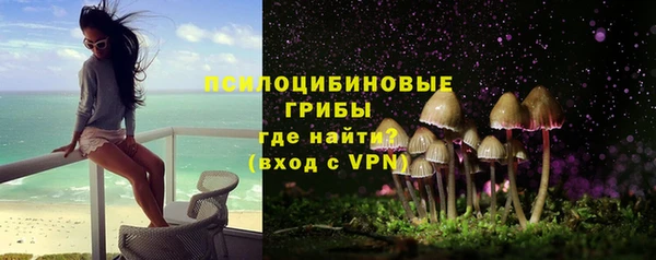 ГАЛЛЮЦИНОГЕННЫЕ ГРИБЫ Алзамай