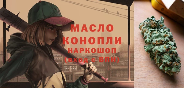 индика Саяногорск