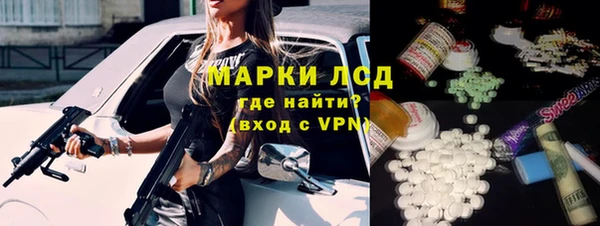 индика Саяногорск