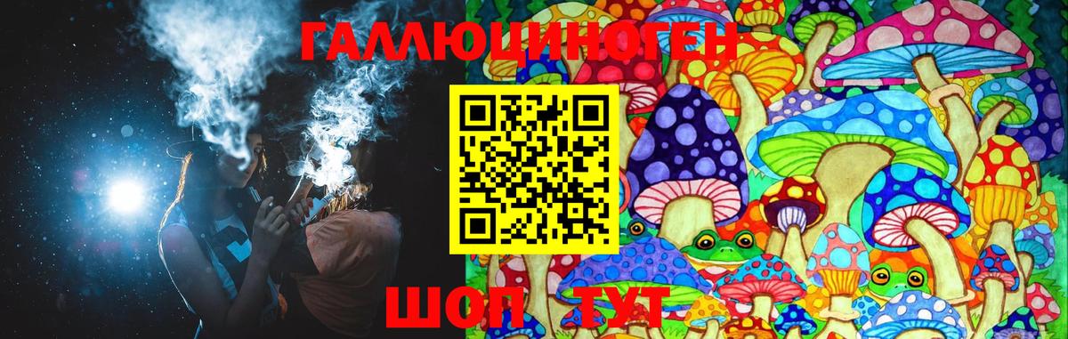 Галлюциногенные грибы Psilocybe Канаш